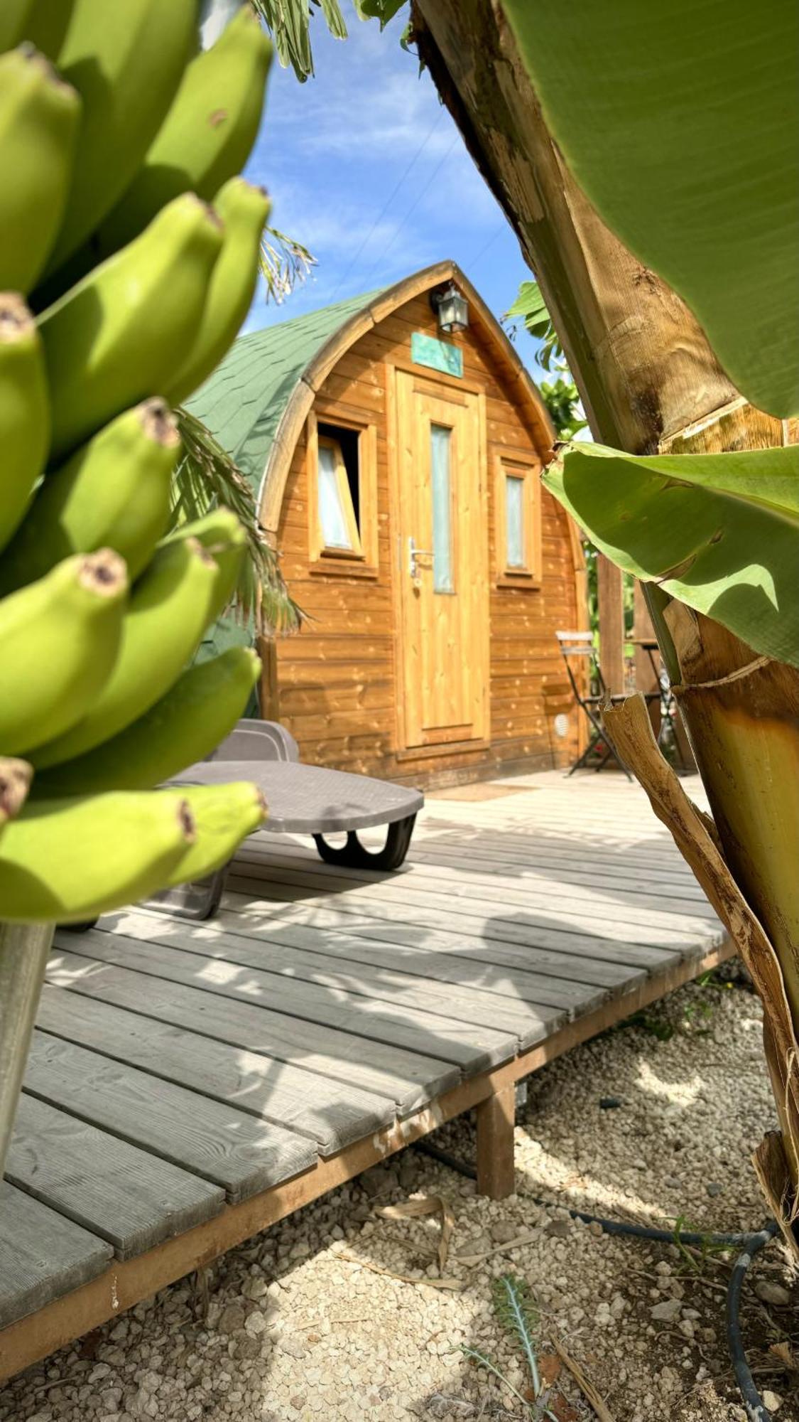 Lykke Suite Spa Sauna Piscina Y Jardin Buzanada Exterior foto